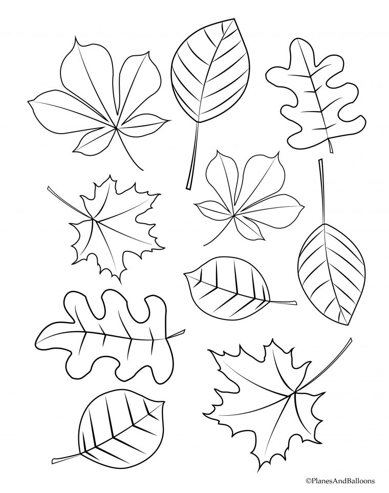 fall leaves coloring pages printable