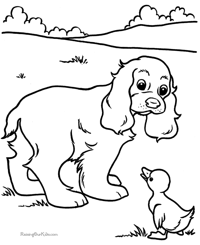 printable cocker spaniel coloring page