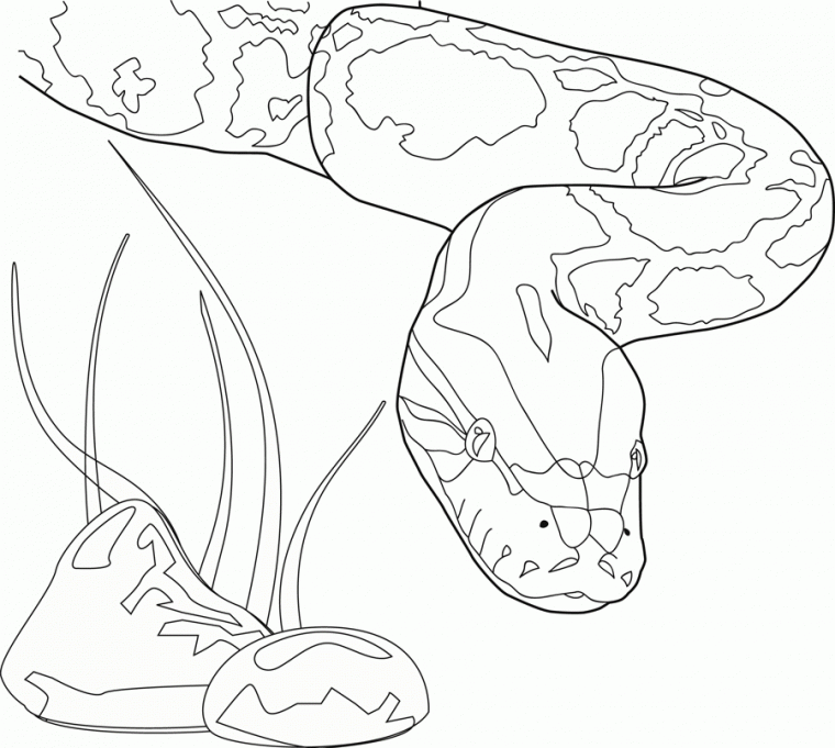 python coloring page