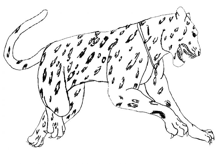 realistic jaguar coloring pages