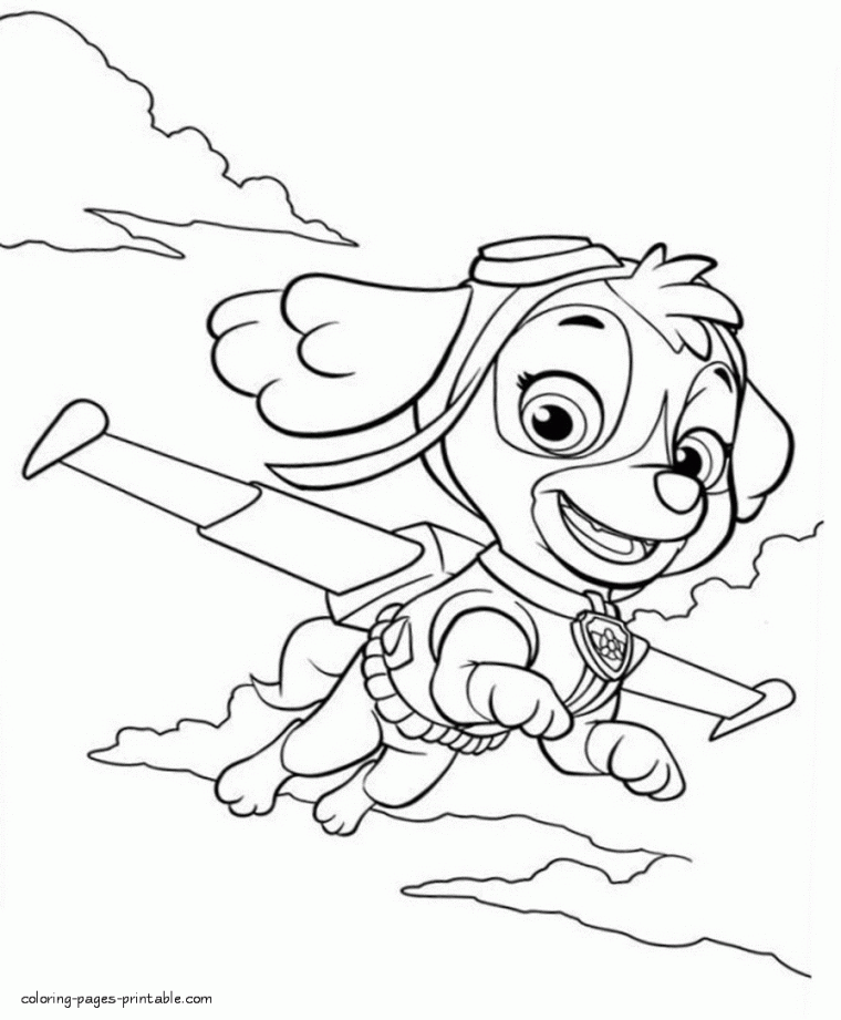 skye coloring page paw patrol