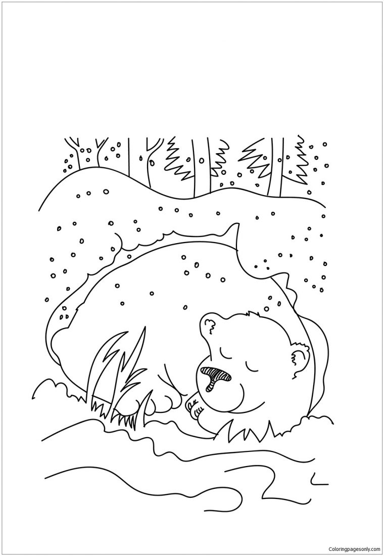 hibernating bear coloring page