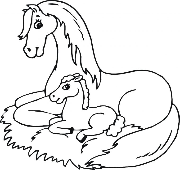 foal coloring pages