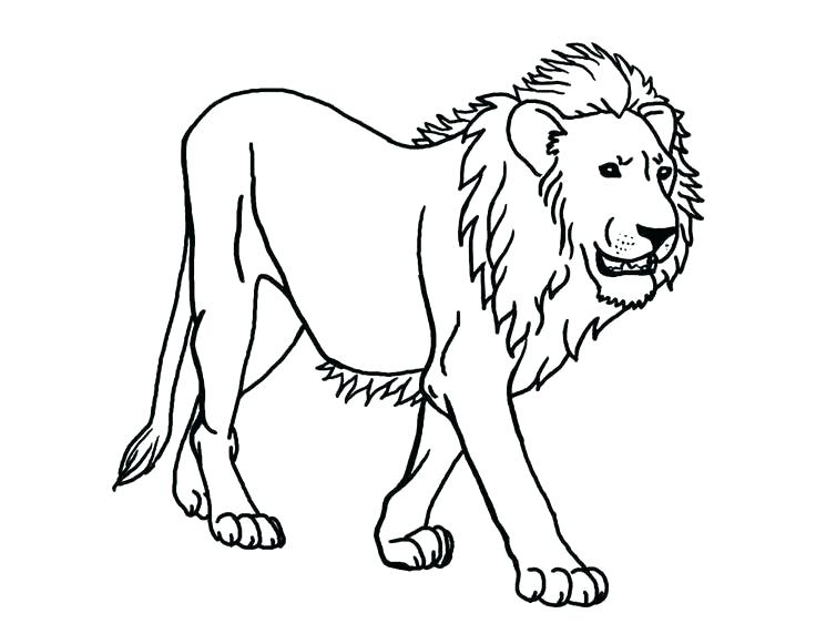 lion and cub coloring page