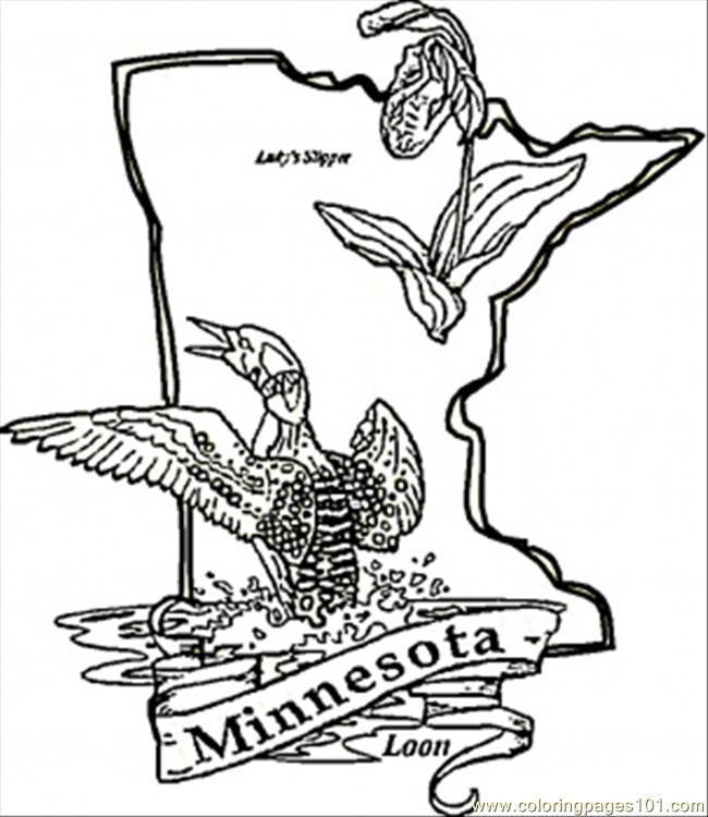 minnesota wild coloring pages