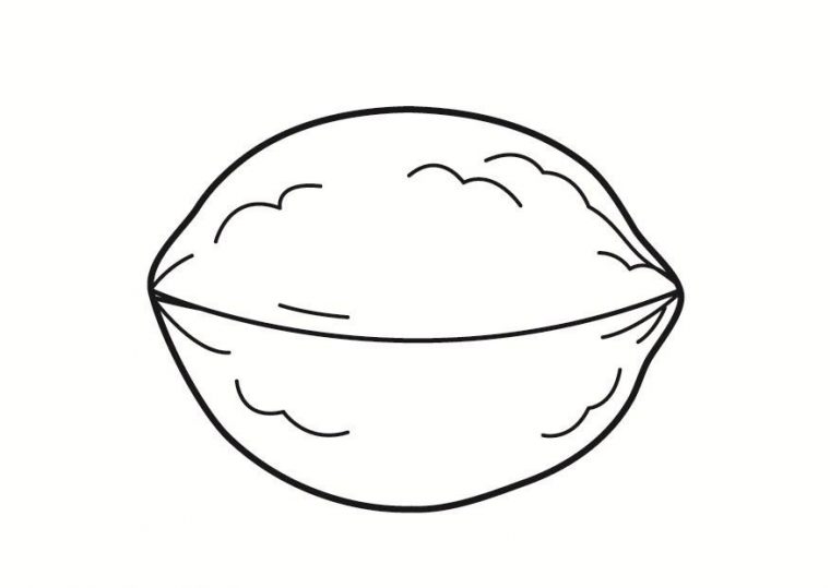 nuts coloring page