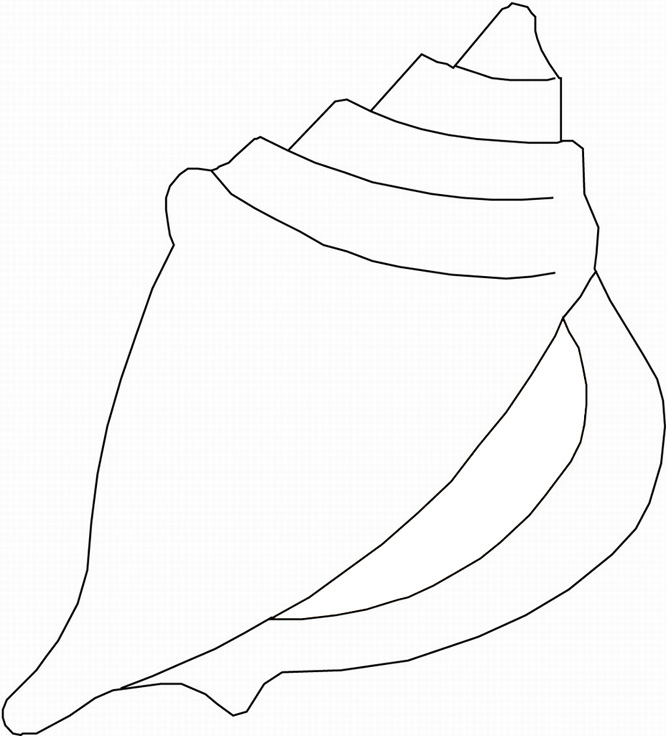 shells coloring page