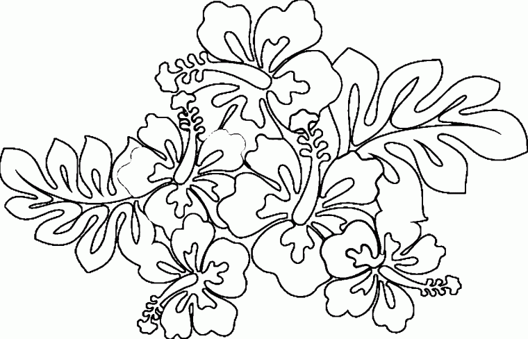hawaii coloring pages free printables