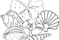 seashell coloring page