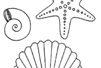 sea shell coloring sheets