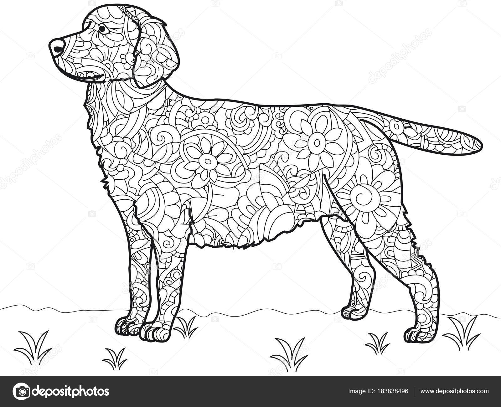 Coloriage Labrador | Coloriage