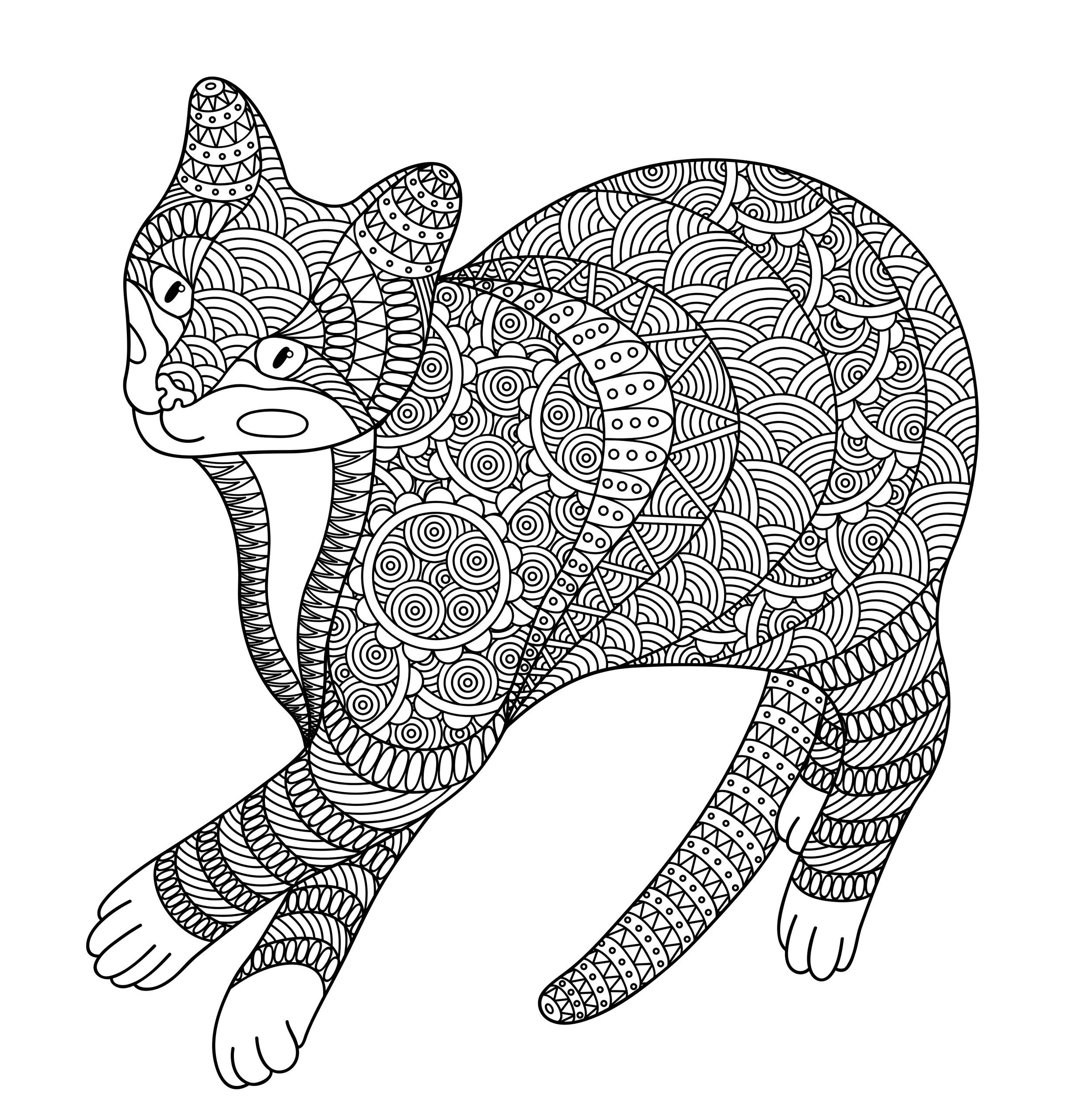 Tabby cat - Coloring pages for you