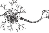 neuron coloring page