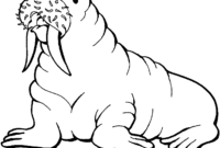 walrus coloring page