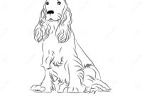 cocker spaniel coloring page