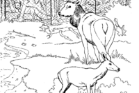 coloring pages of deers