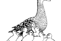 duck coloring pages printable