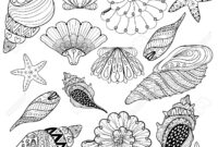 shell coloring page