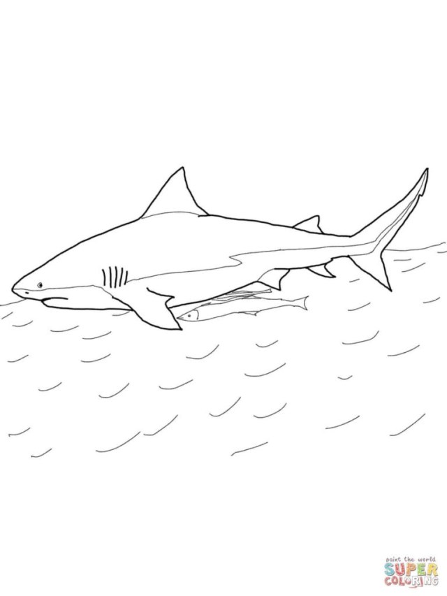 Creative Image of Great White Shark Coloring Pages - davemelillo.com