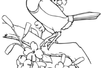 toucan coloring page