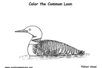 loon coloring page