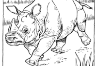 rhinoceros coloring page