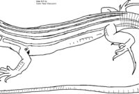 reptile coloring page