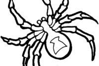 spider coloring pages