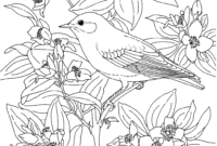 blue bird coloring page
