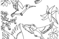 coloring pages of hummingbirds