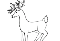 reindeer coloring pics