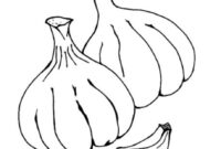 garlic coloring page