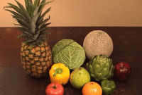 download and manual diet gif