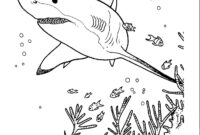 free coloring pages of sharks