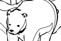 bear printable coloring pages