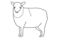 sheep images to color