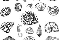 seashell coloring