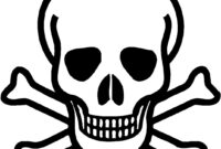 skull coloring pages free