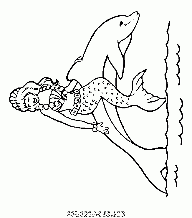 Coloriage Coloriage Dauphin Et Une Sirene Gratuit - Animaux tout