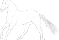 horse tack coloring pages