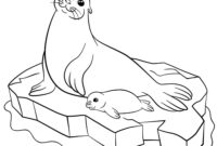 seal coloring pages