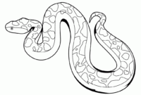 printable snake images