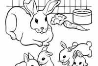 realistic rabbit coloring pages