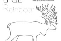 reindeer worksheets