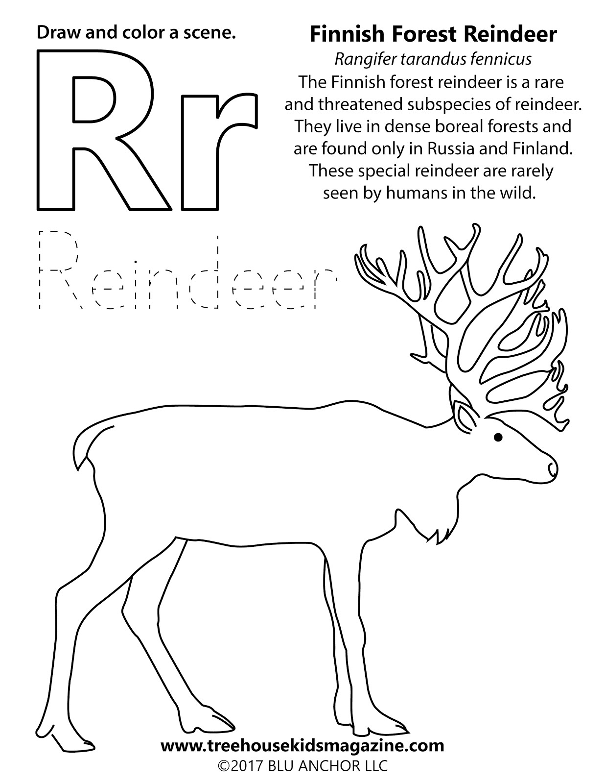 Reindeer Worksheets