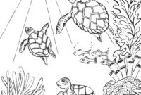 free sea turtle coloring pages