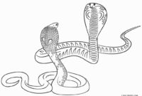 snakes printable coloring pages