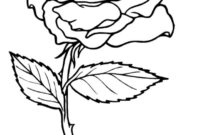 rose coloring pages for adults