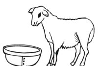 colouring pages sheep