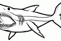 printable shark coloring pages